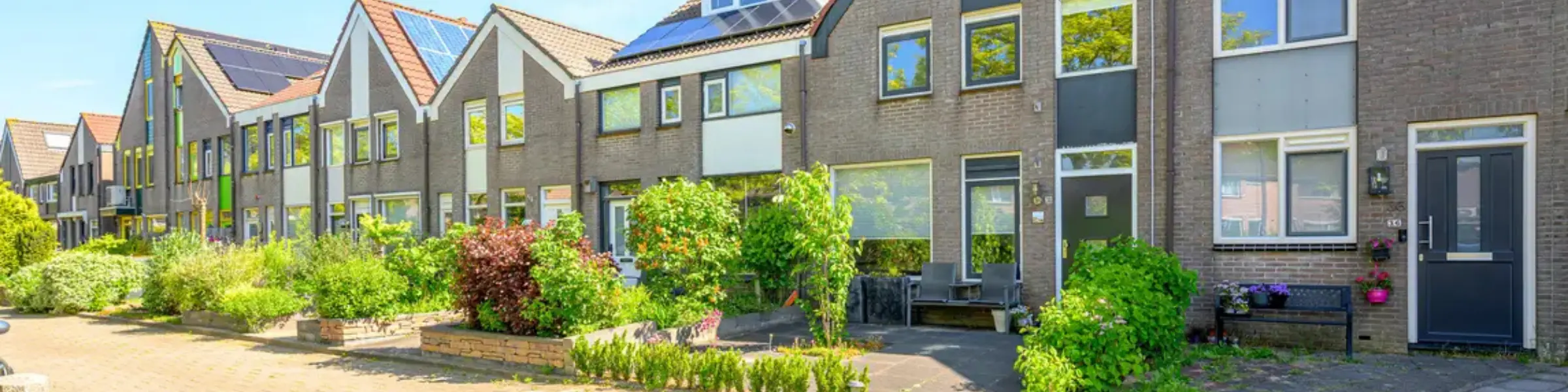 Molenwijk